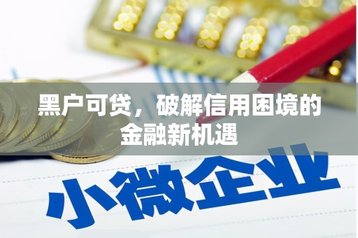 贵南黑户可贷，破解信用困境的金融新机遇
