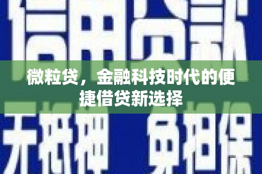 贵南微粒贷，金融科技时代的便捷借贷新选择