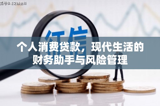 贵南个人消费贷款，现代生活的财务助手与风险管理