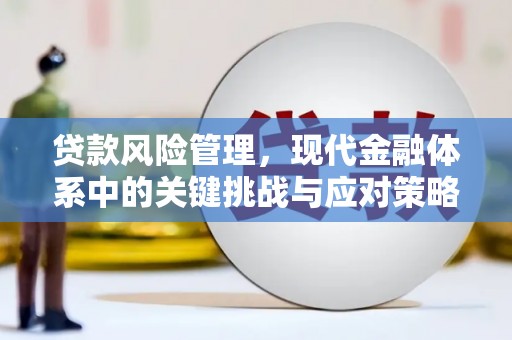 贵南贷款风险管理，现代金融体系中的关键挑战与应对策略