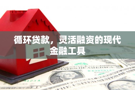 贵南循环贷款，灵活融资的现代金融工具