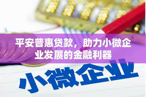 贵南平安普惠贷款，助力小微企业发展的金融利器