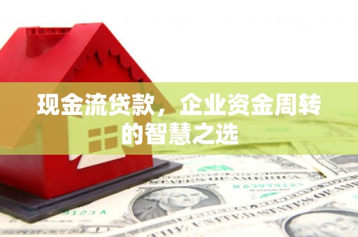 贵南现金流贷款，企业资金周转的智慧之选