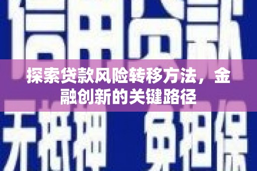 贵南探索贷款风险转移方法，金融创新的关键路径