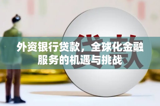 贵南外资银行贷款，全球化金融服务的机遇与挑战
