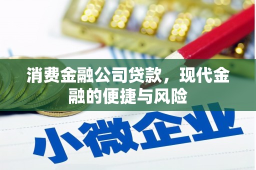 贵南消费金融公司贷款，现代金融的便捷与风险