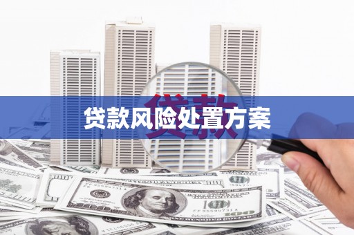 贵南贷款风险处置方案