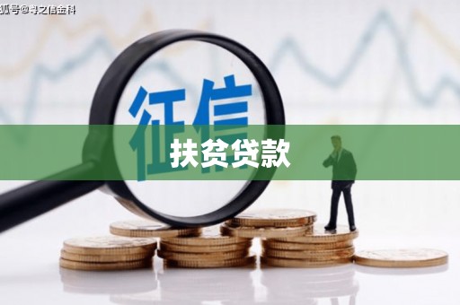 贵南扶贫贷款