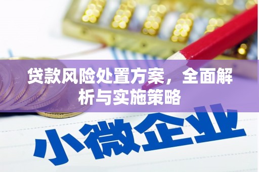 贵南贷款风险处置方案，全面解析与实施策略