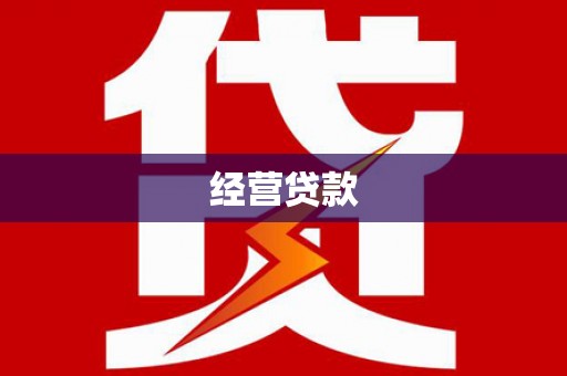 贵南经营贷款