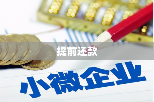 贵南提前还款