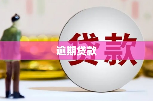贵南逾期贷款